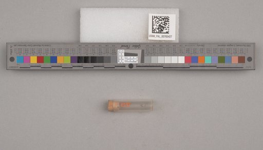 NSF ADBC EPICC TCN