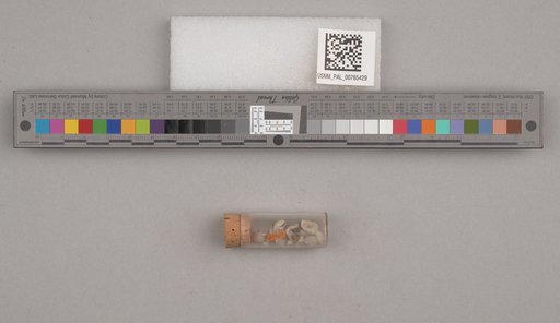 NSF ADBC EPICC TCN