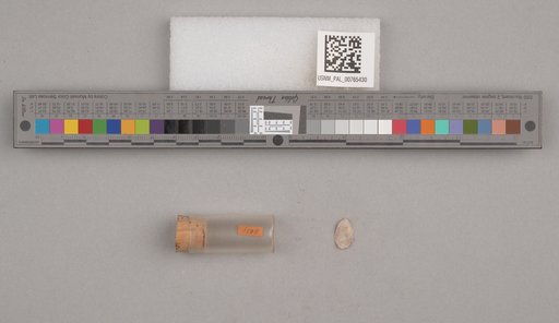 NSF ADBC EPICC TCN