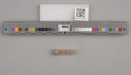 NSF ADBC EPICC TCN
