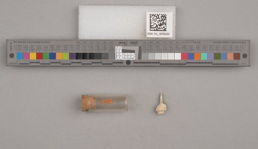 NSF ADBC EPICC TCN
