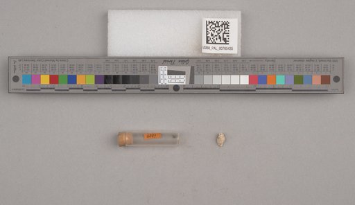 NSF ADBC EPICC TCN
