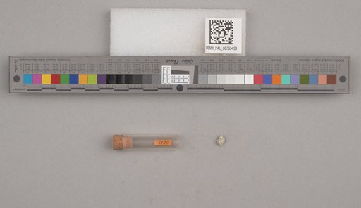 NSF ADBC EPICC TCN