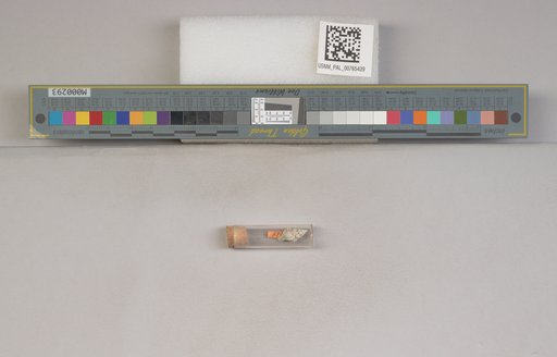 NSF ADBC EPICC TCN