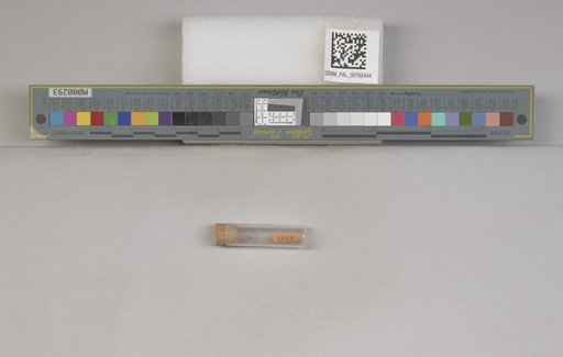 NSF ADBC EPICC TCN