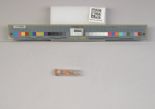 NSF ADBC EPICC TCN