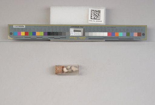 NSF ADBC EPICC TCN