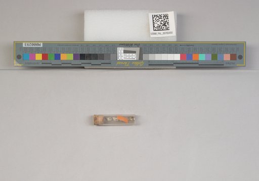 NSF ADBC EPICC TCN