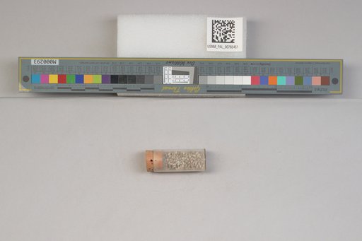 NSF ADBC EPICC TCN