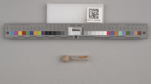 NSF ADBC EPICC TCN