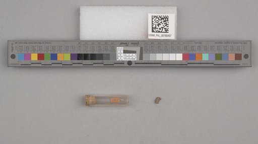NSF ADBC EPICC TCN