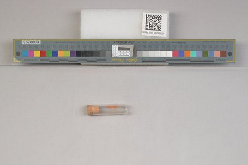 NSF ADBC EPICC TCN
