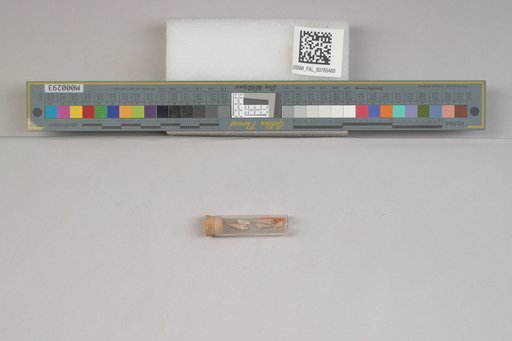 NSF ADBC EPICC TCN