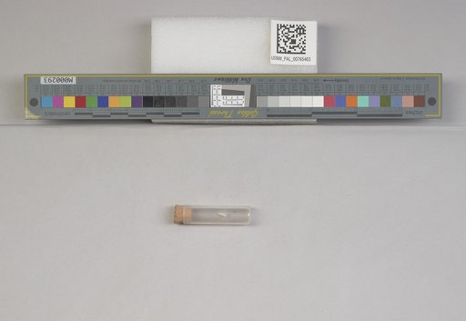 NSF ADBC EPICC TCN
