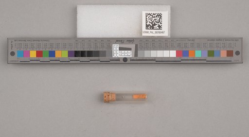 NSF ADBC EPICC TCN