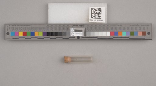 NSF ADBC EPICC TCN