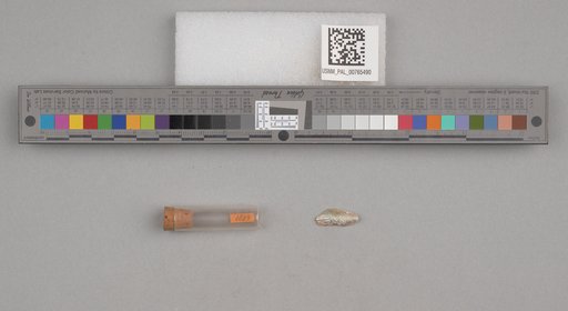 NSF ADBC EPICC TCN