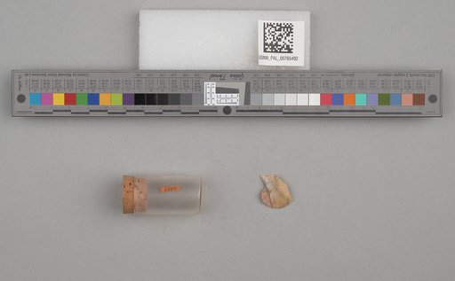 NSF ADBC EPICC TCN