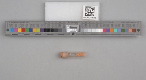 NSF ADBC EPICC TCN