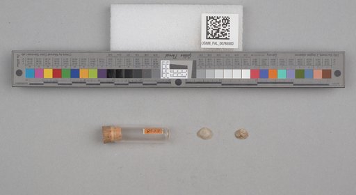 NSF ADBC EPICC TCN