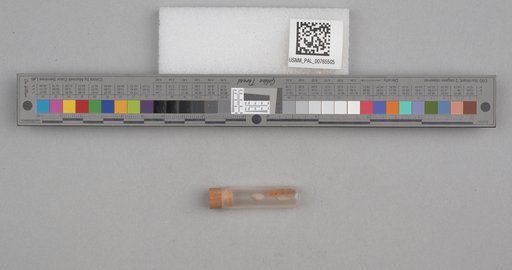 NSF ADBC EPICC TCN