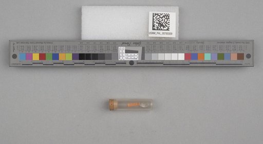 NSF ADBC EPICC TCN