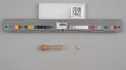 NSF ADBC EPICC TCN