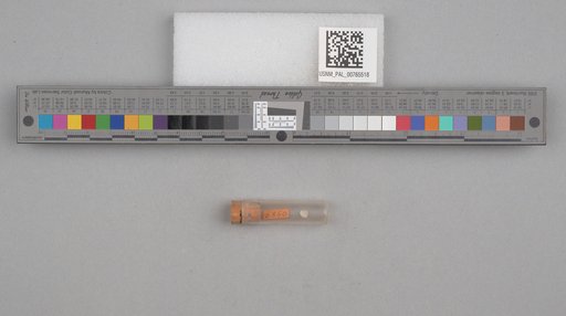 NSF ADBC EPICC TCN