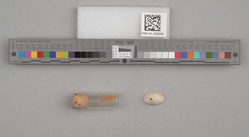 NSF ADBC EPICC TCN