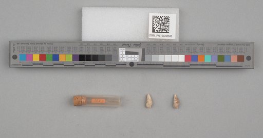 NSF ADBC EPICC TCN