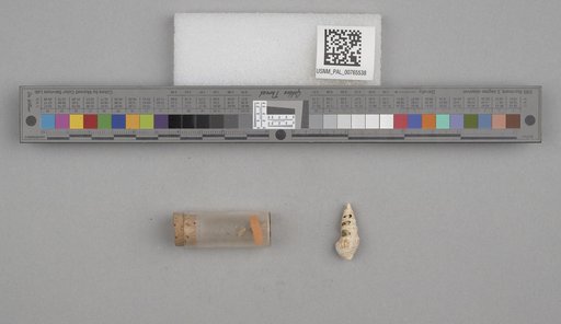 NSF ADBC EPICC TCN