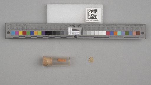 NSF ADBC EPICC TCN