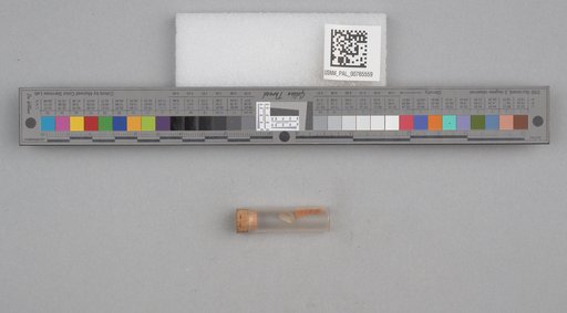 NSF ADBC EPICC TCN
