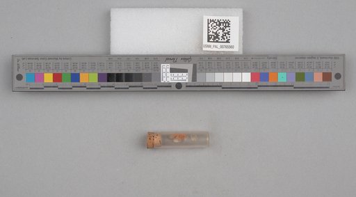 NSF ADBC EPICC TCN