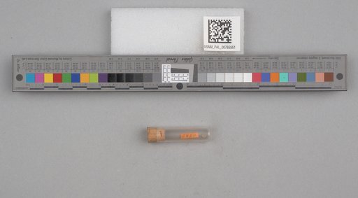 NSF ADBC EPICC TCN