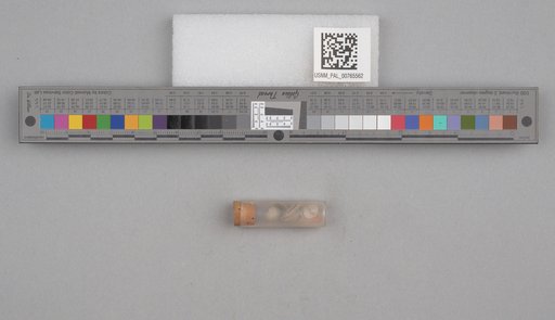 NSF ADBC EPICC TCN