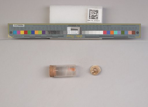 NSF ADBC EPICC TCN