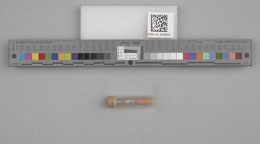 NSF ADBC EPICC TCN