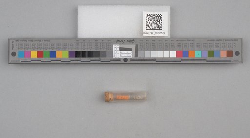 NSF ADBC EPICC TCN