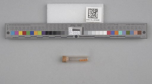 NSF ADBC EPICC TCN