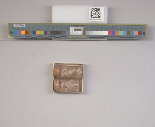 NSF ADBC EPICC TCN
