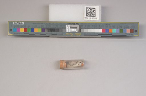NSF ADBC EPICC TCN