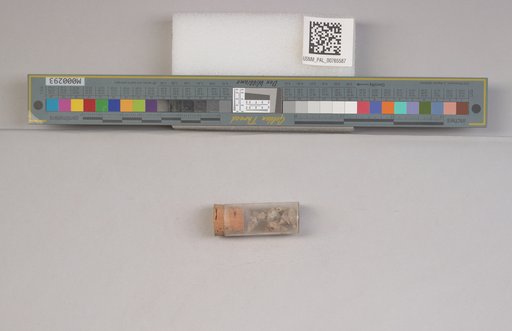 NSF ADBC EPICC TCN