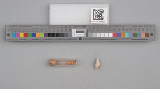 NSF ADBC EPICC TCN