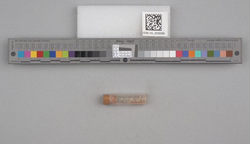 NSF ADBC EPICC TCN