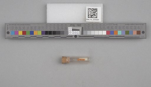 NSF ADBC EPICC TCN