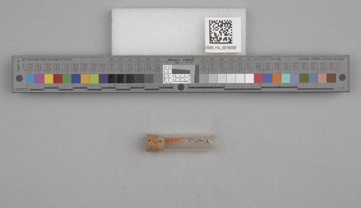 NSF ADBC EPICC TCN