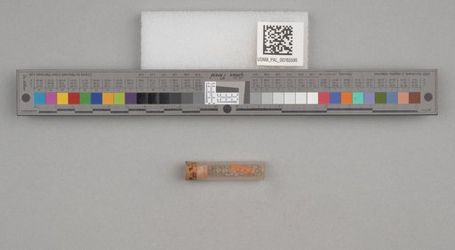NSF ADBC EPICC TCN