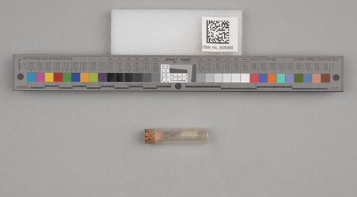 NSF ADBC EPICC TCN