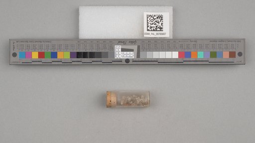 NSF ADBC EPICC TCN